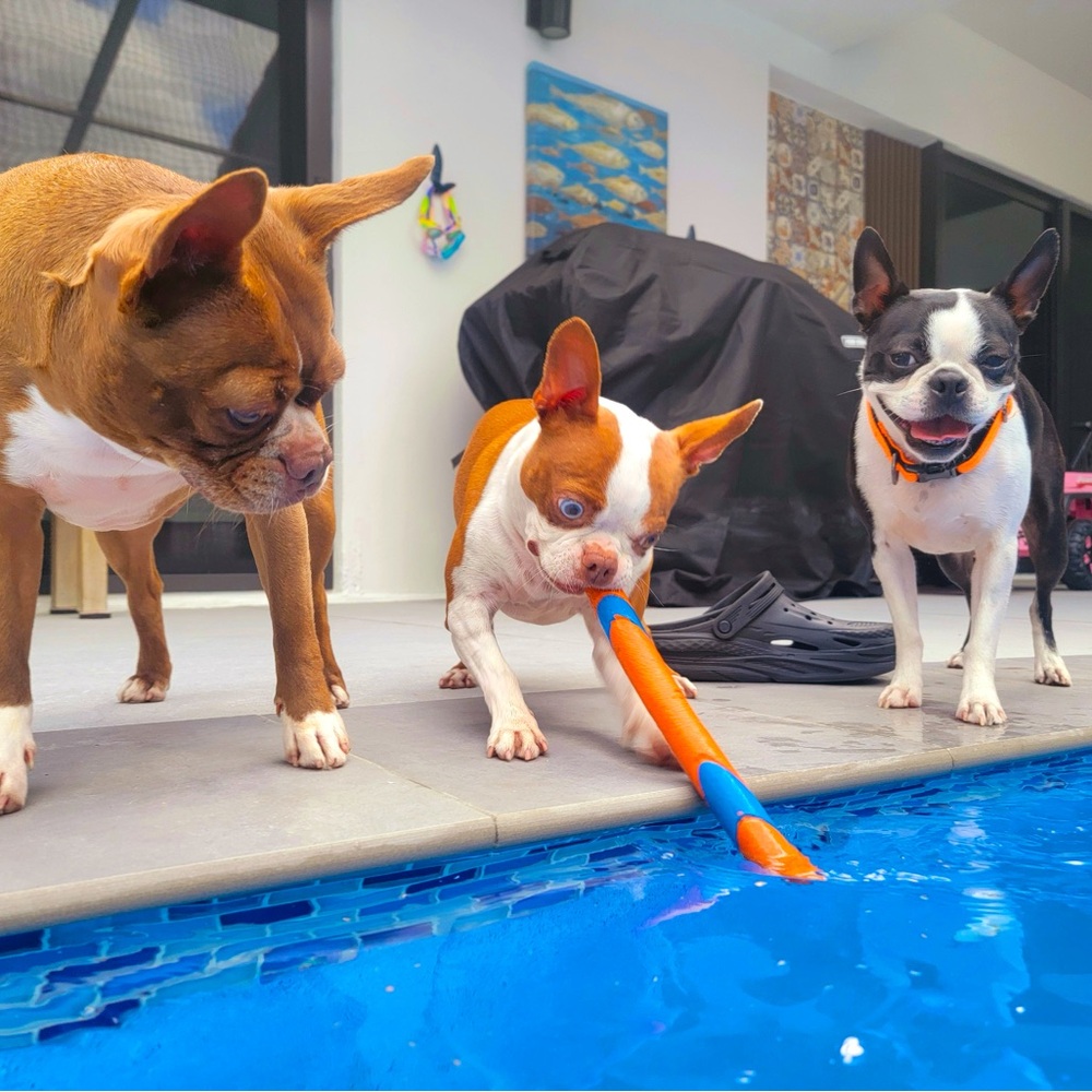 Meet your Posher, Katyroe